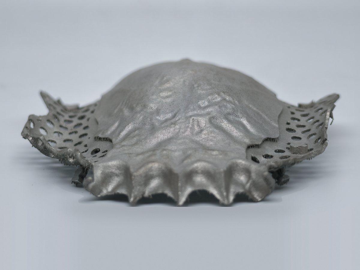 Printed partial framework with mesh retention, supports removed, on a studio backdrop