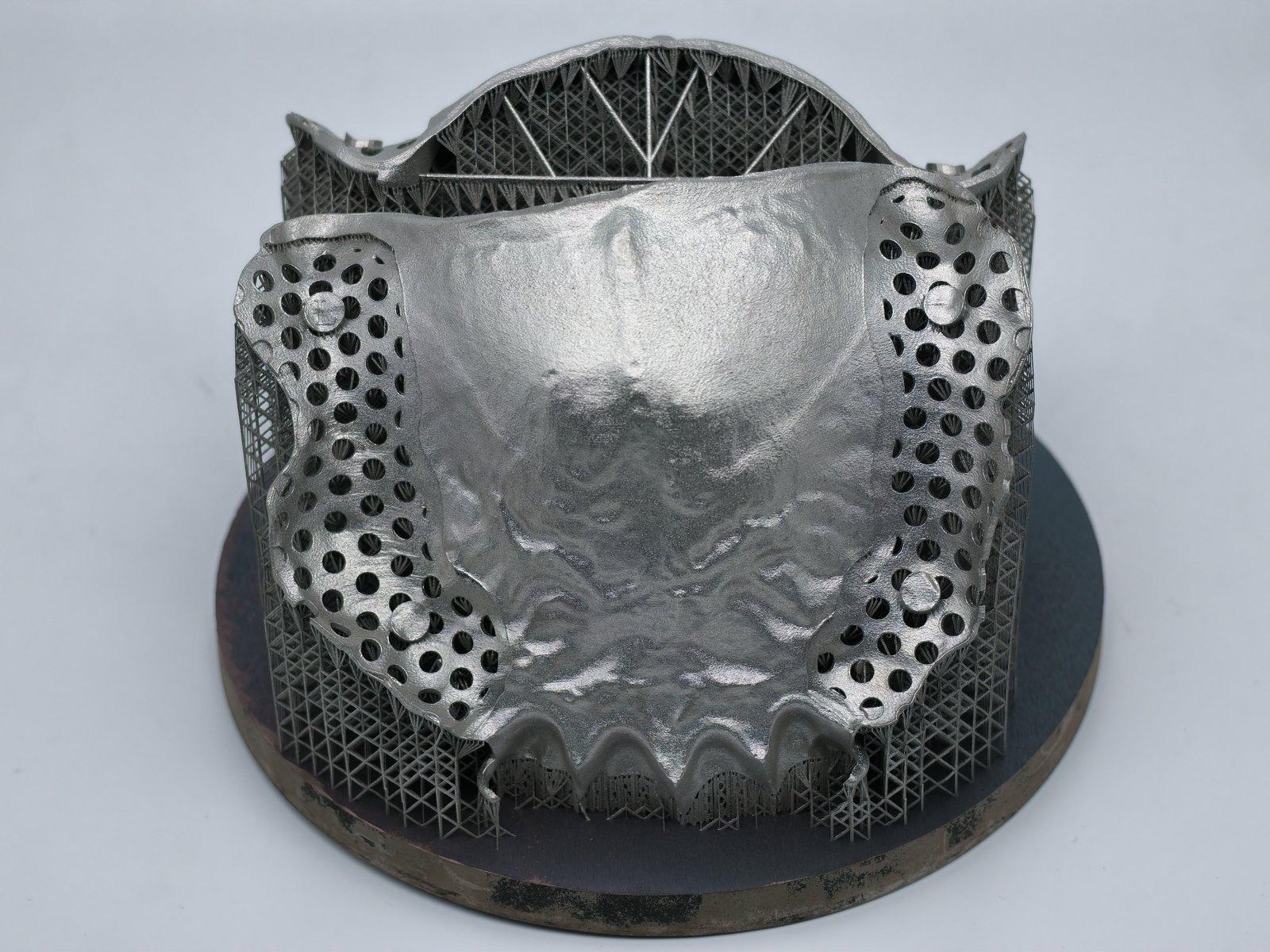 Printed framework on its supports, still on the build plate