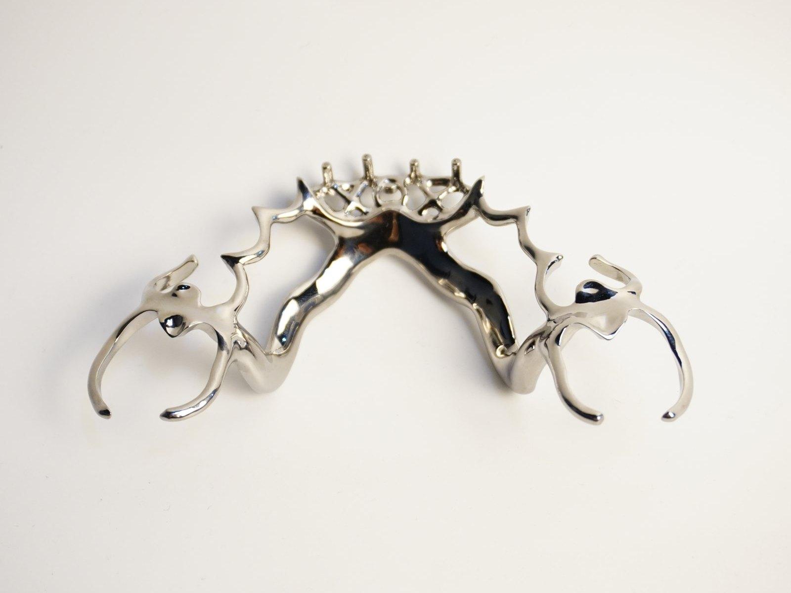 Mirror-polished removable partial denture framework
